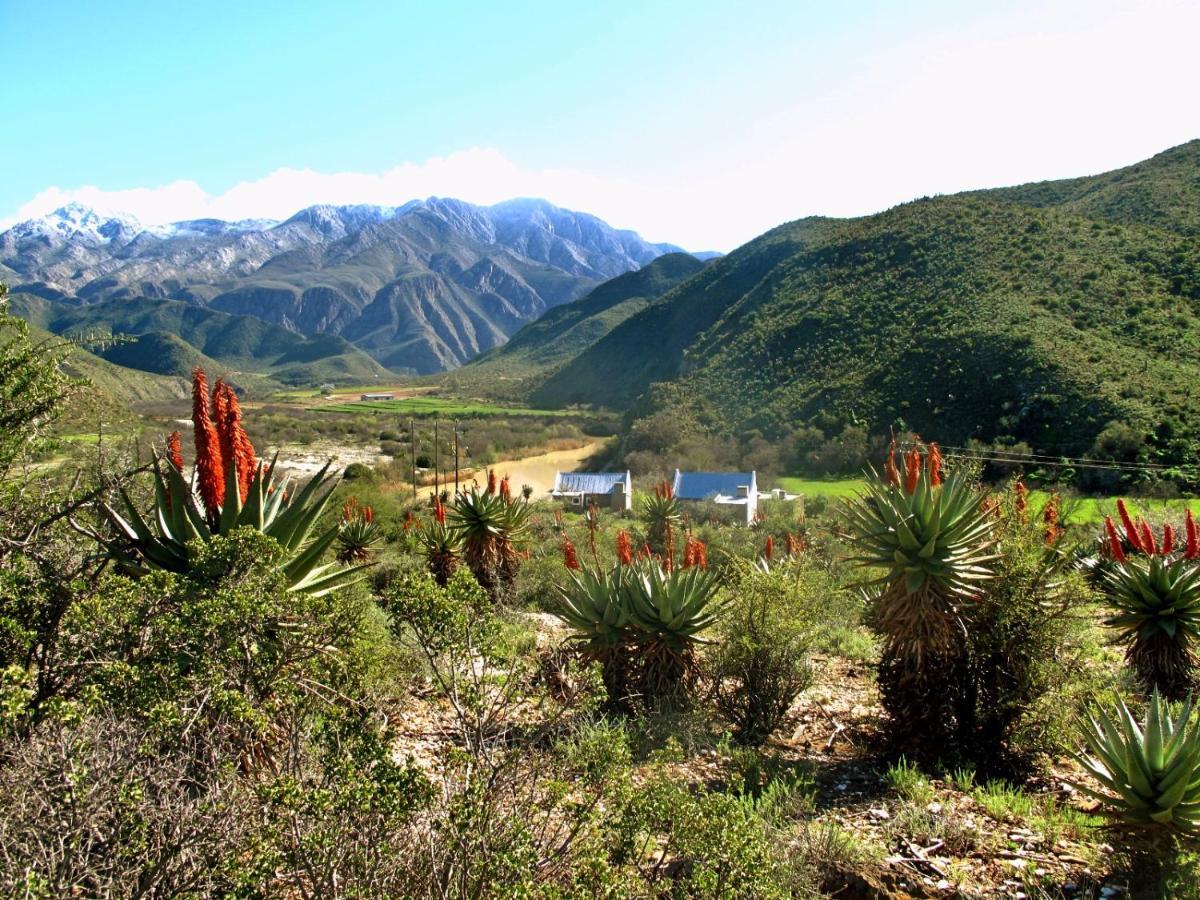 River View Cottages Calitzdorp Exteriér fotografie